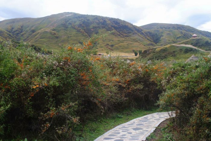 听说墨石公园的石林随着季节变化而变化