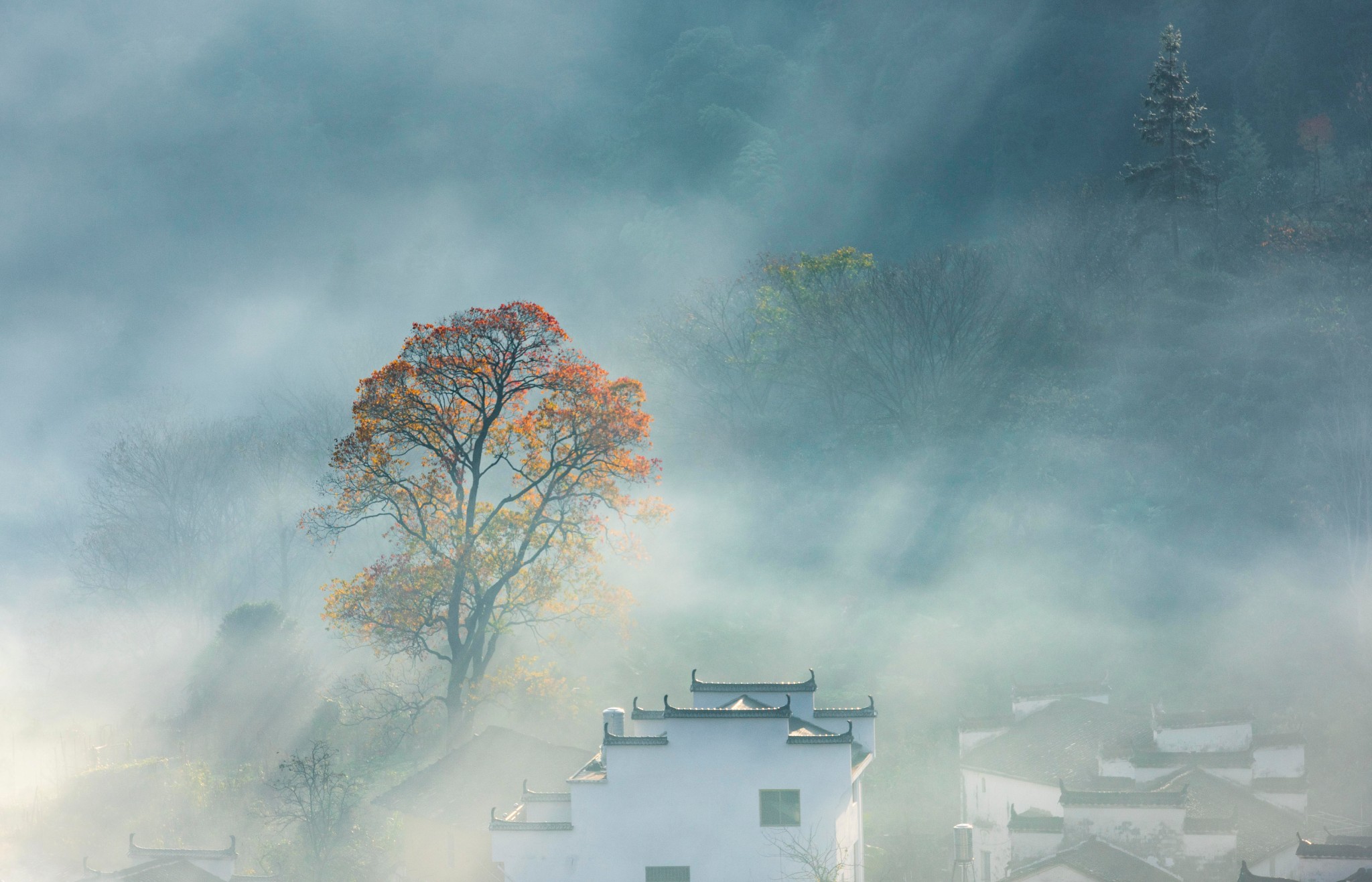 已是小雪日，徽州秋正浓----塔川、石城、长溪...