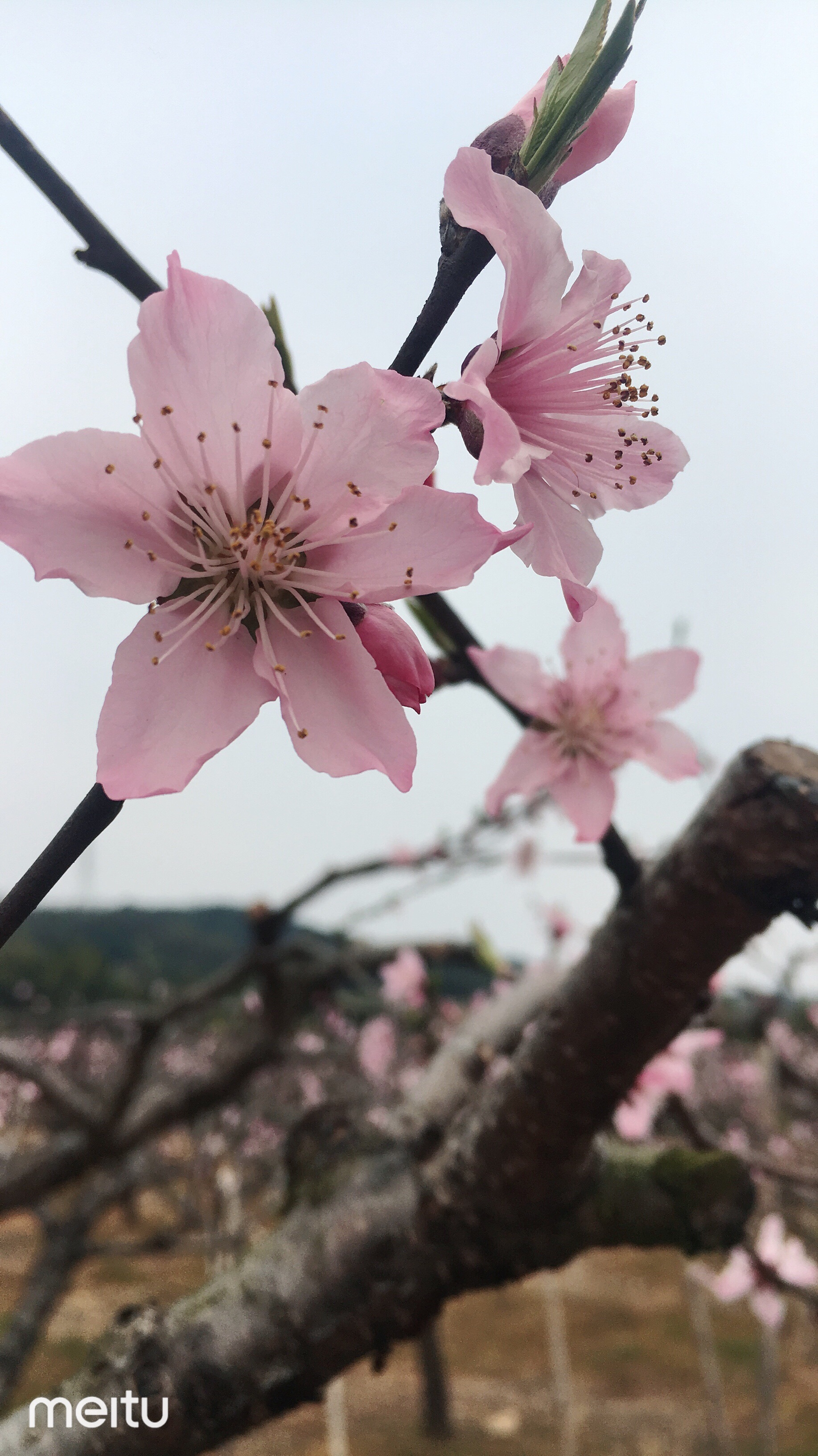 【奉化景点图片】新建村