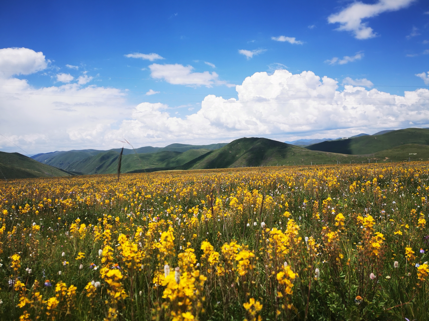 周末行走川西（四）道孚_游记