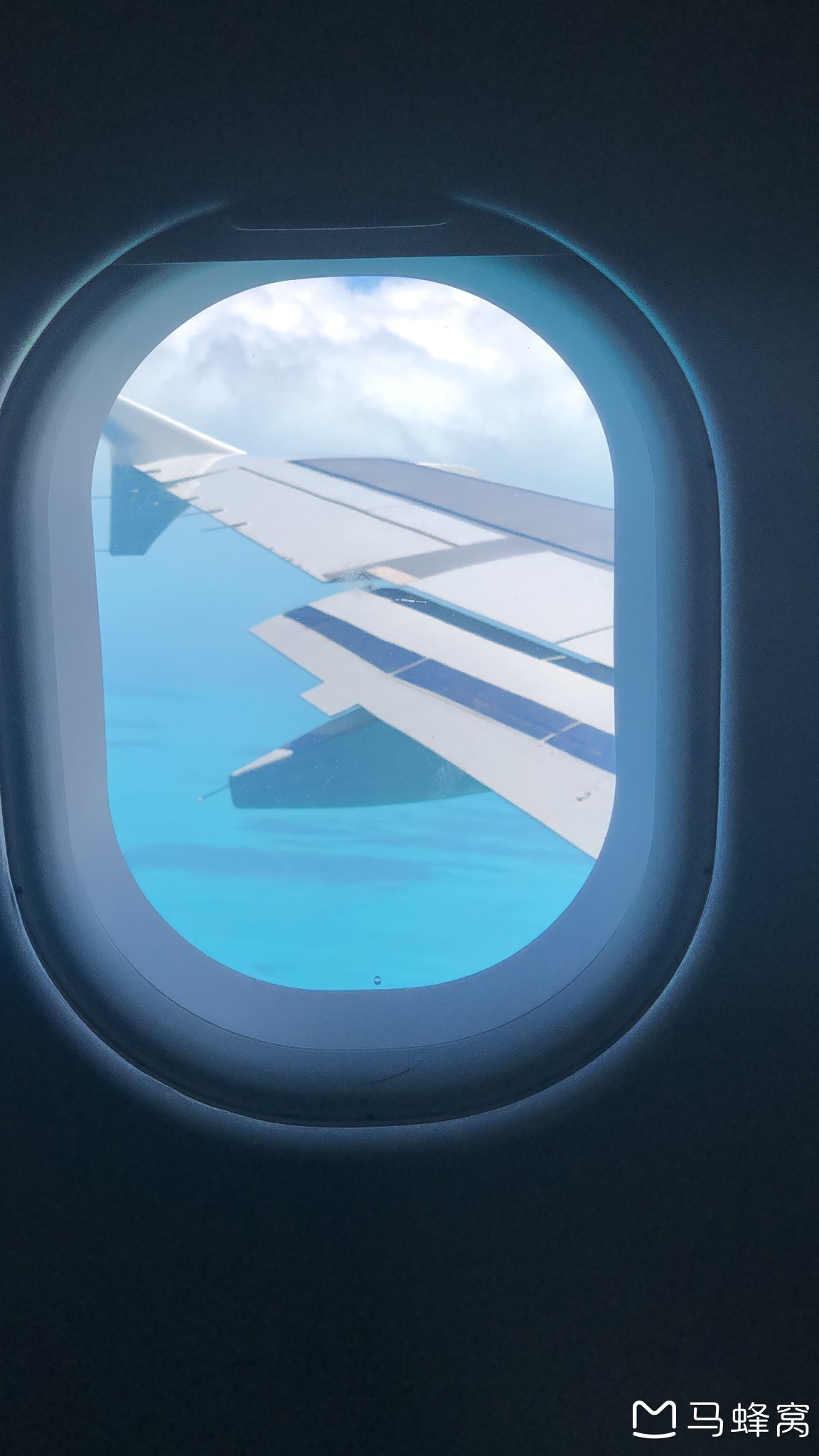 ·在巴哈马---邂逅网红猪，撒欢亚特兰蒂斯，超详细流水账攻略_游记