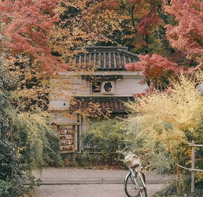 潜派旅行