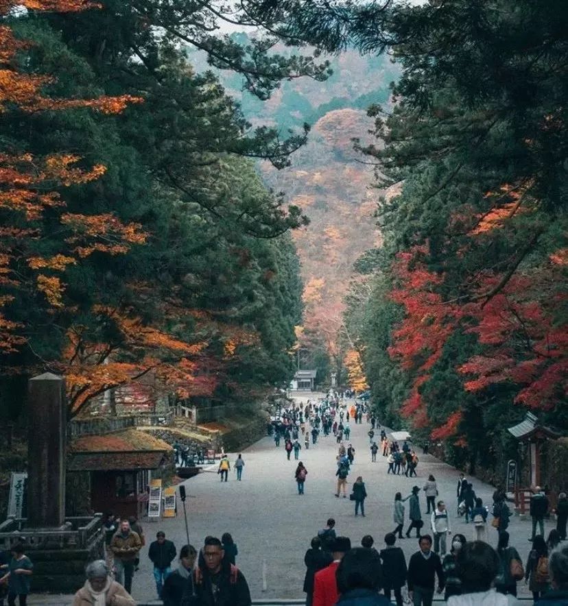 潜派旅行