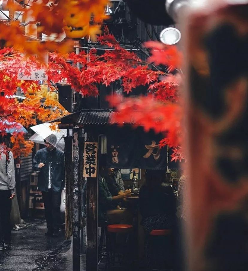 潜派旅行