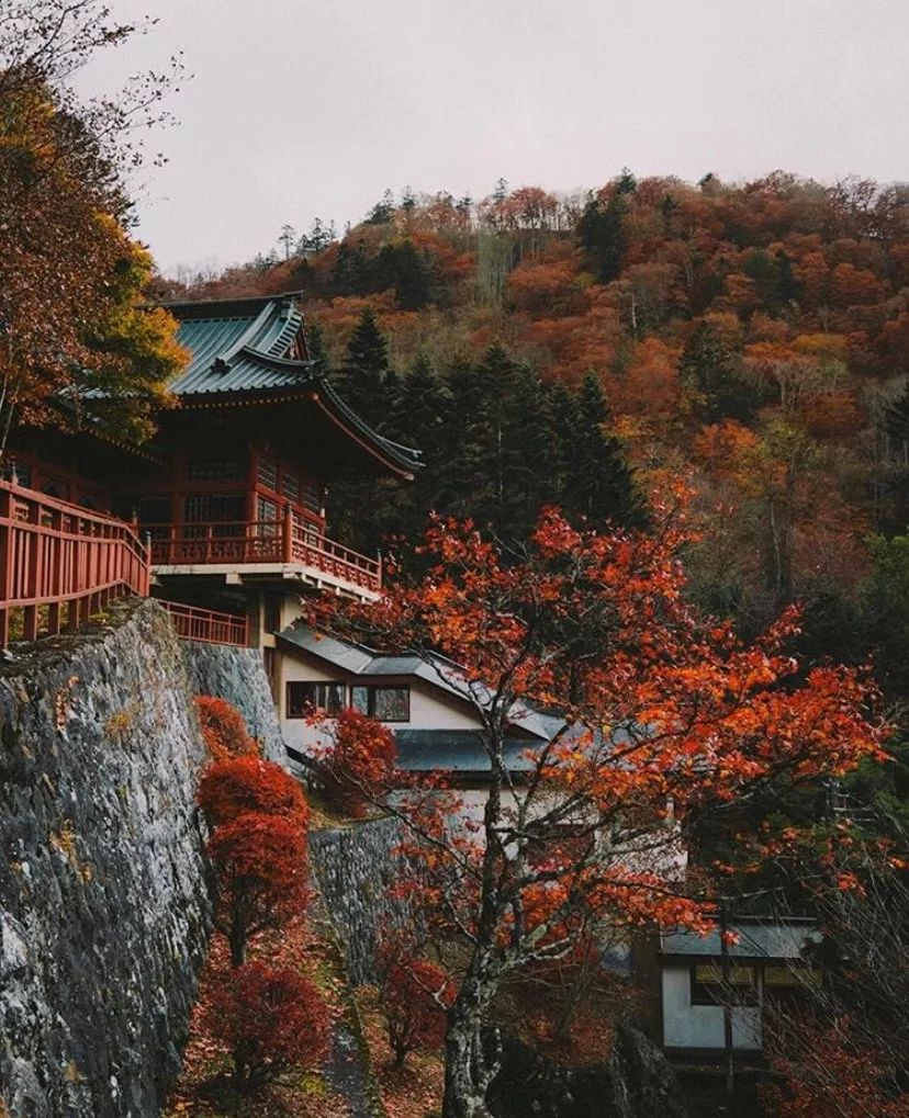 潜派旅行