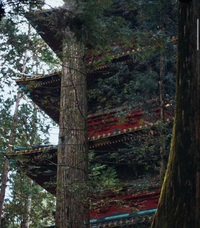 潜派旅行