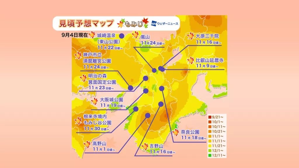 潜派旅行
