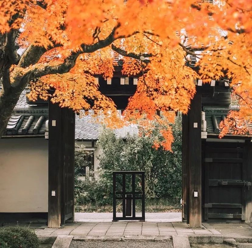 潜派旅行