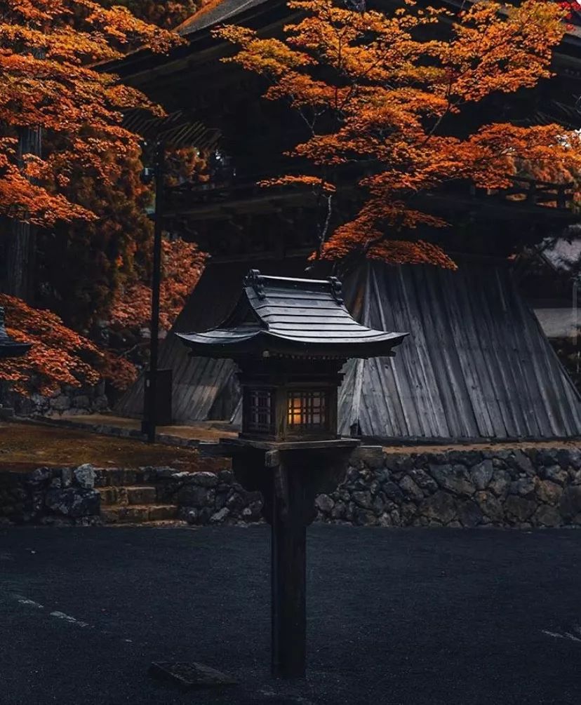 潜派旅行