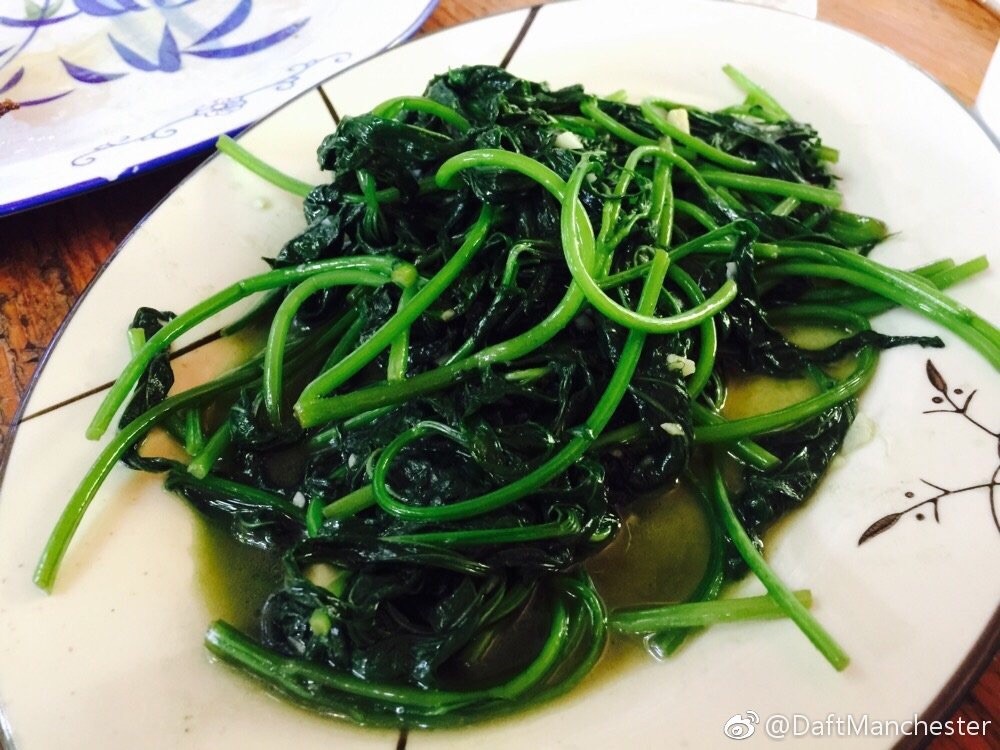 深圳美食-平湖青峰鸽场