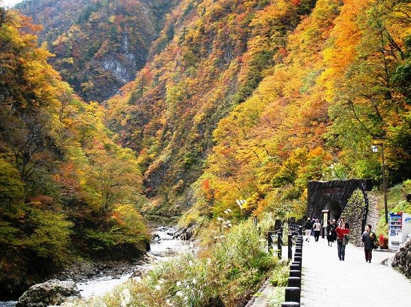 潜派旅行