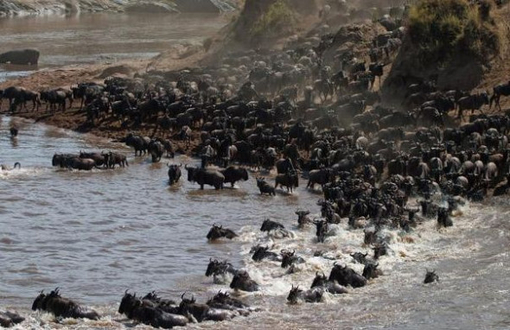 去肯尼亚最佳月份