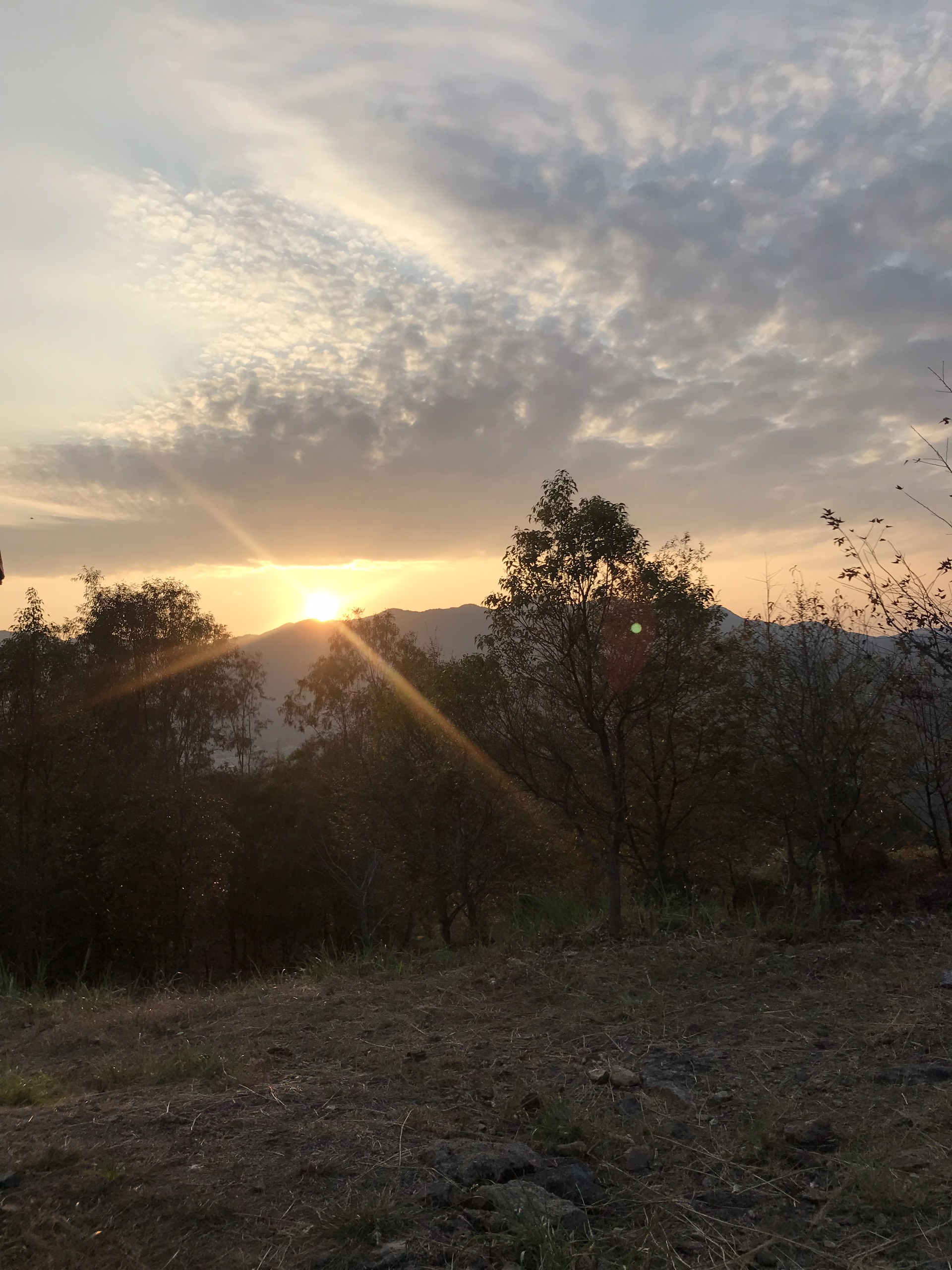 平远美食-123奶茶屋