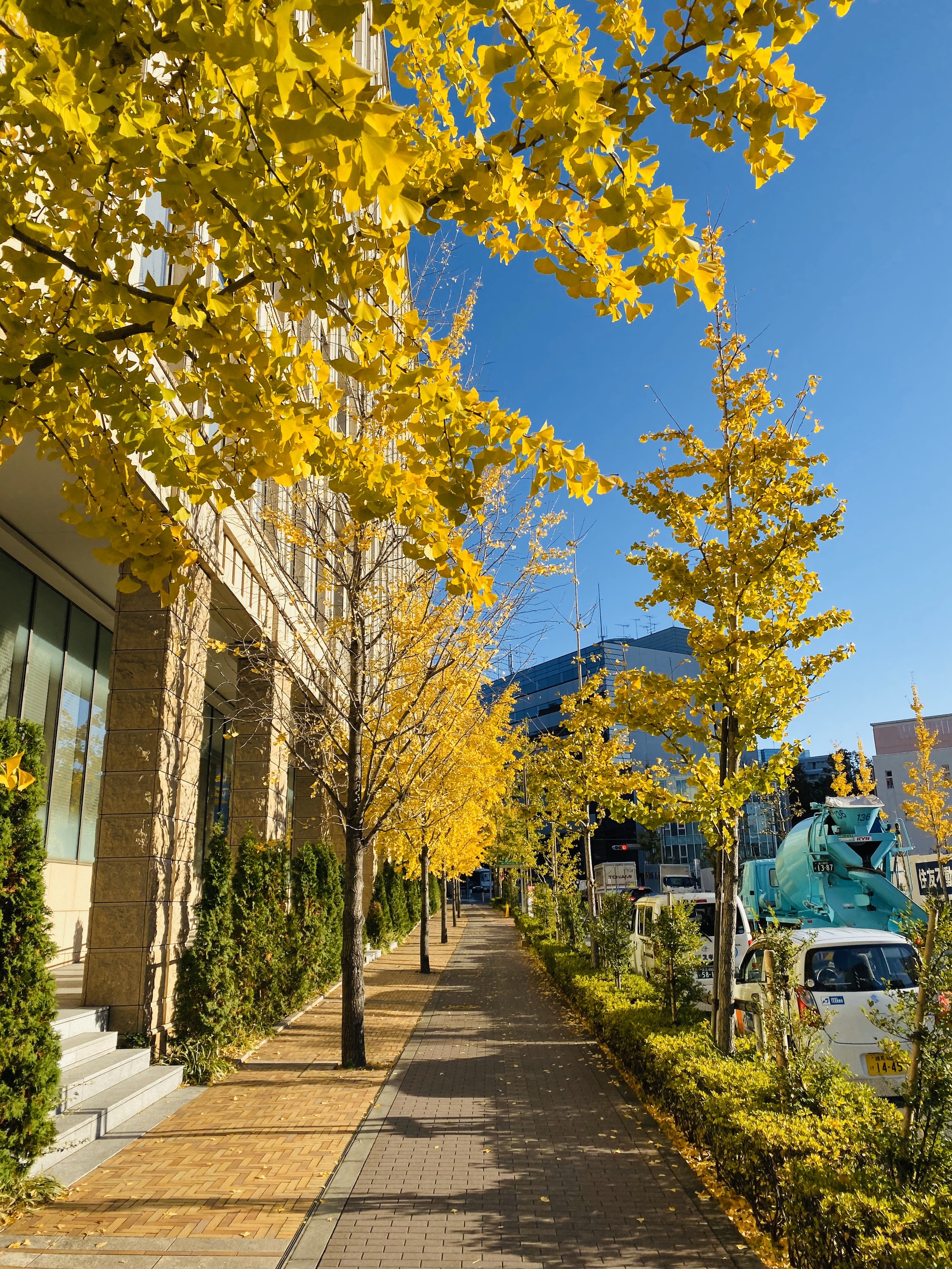 东京美食-Komuginosato