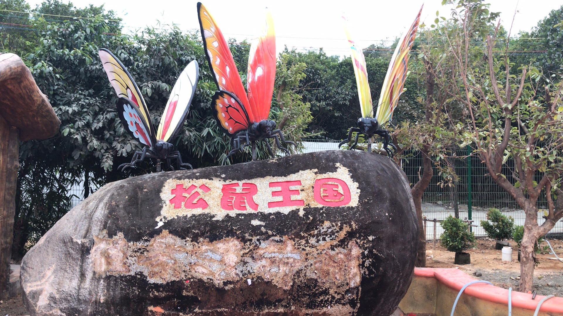 阳江福兴松鼠王国乐园一日电子门票