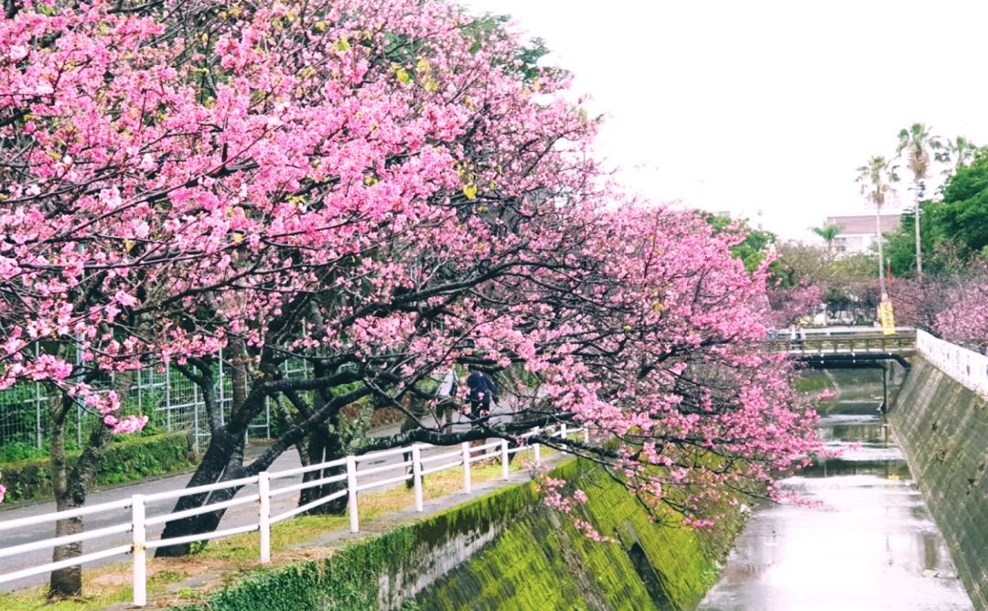 潜派旅行