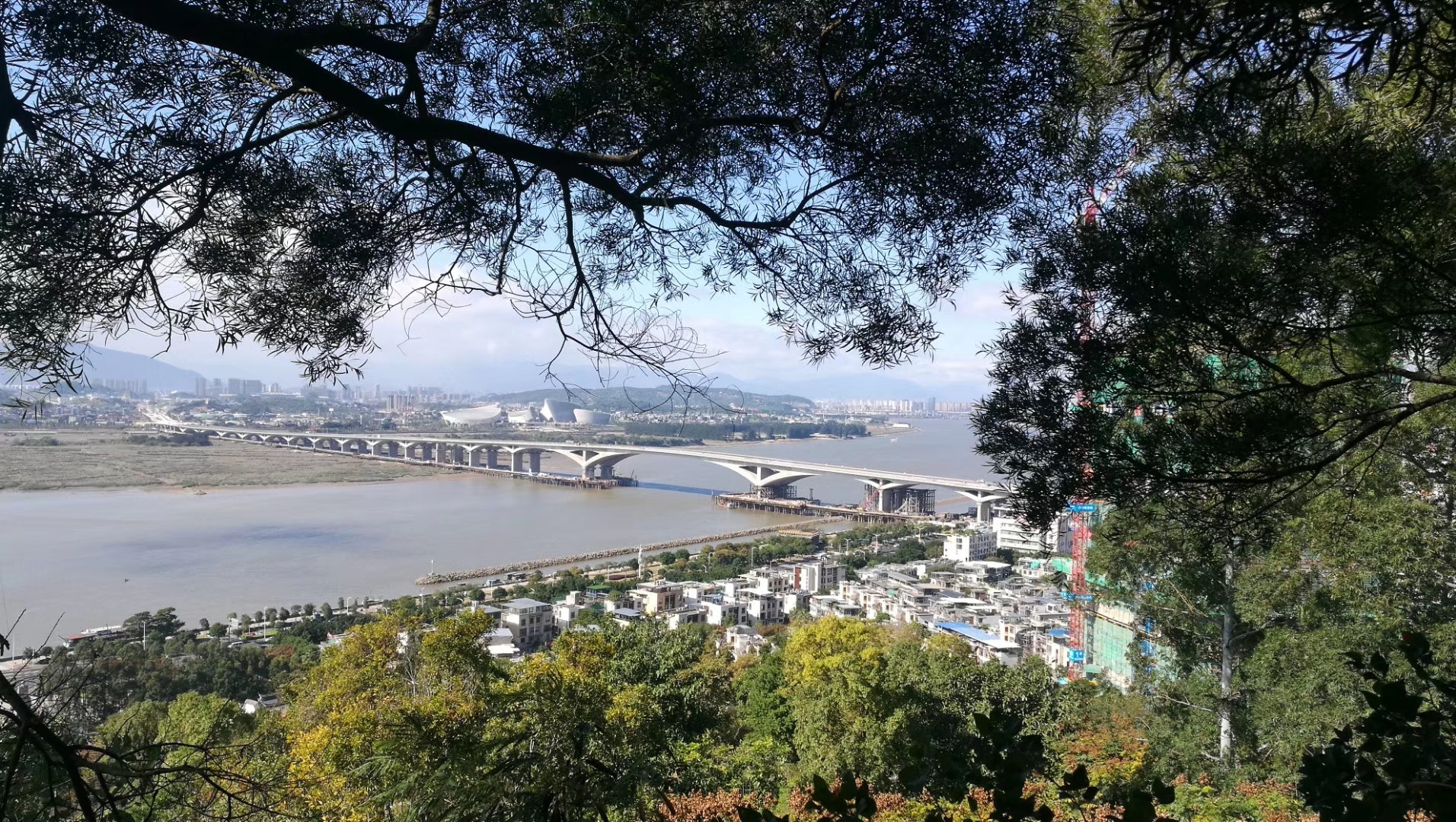 新年畅游天马山生态公园