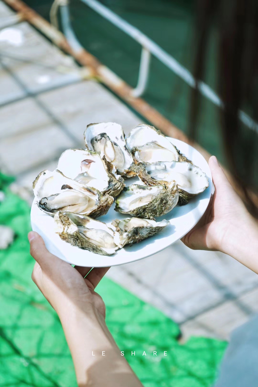 南澳岛（南澳县）美食-南澳海上绿洲