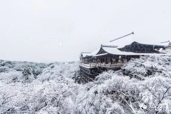 潜派旅行
