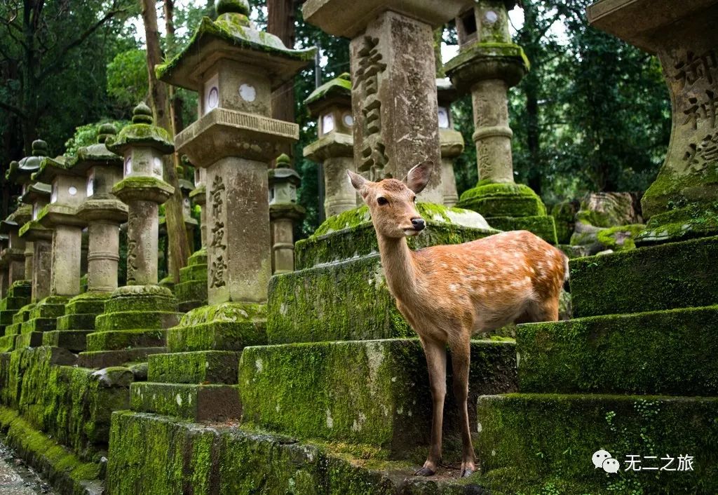 潜派旅行