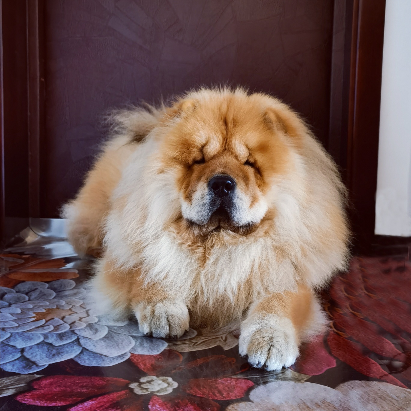 王小琳.