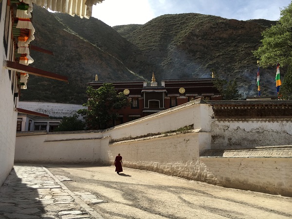 从黄土高坡到高寒草原（3）甘南藏区_游记