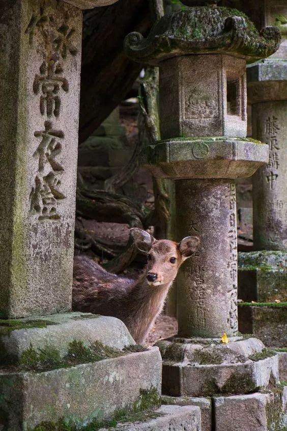 潜派旅行