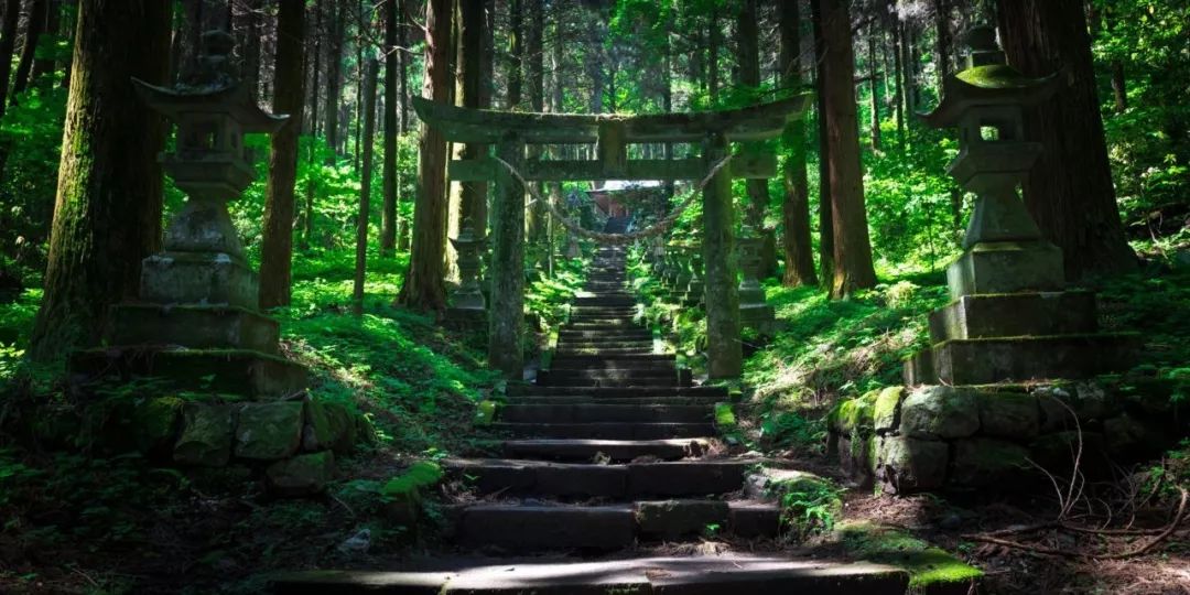 潜派旅行