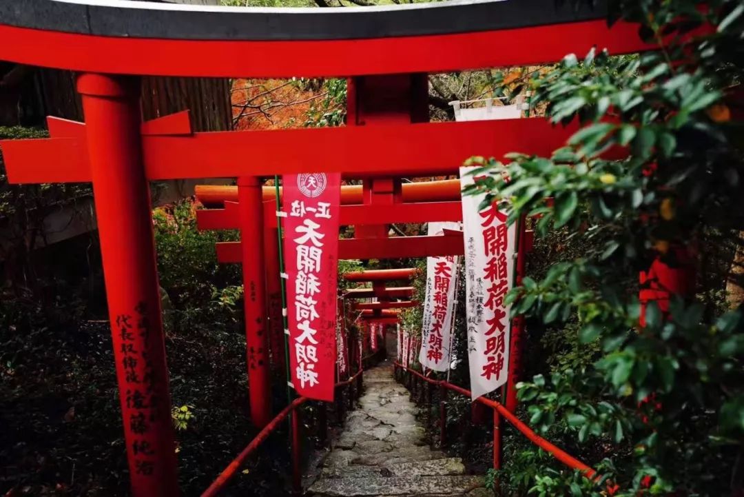 潜派旅行