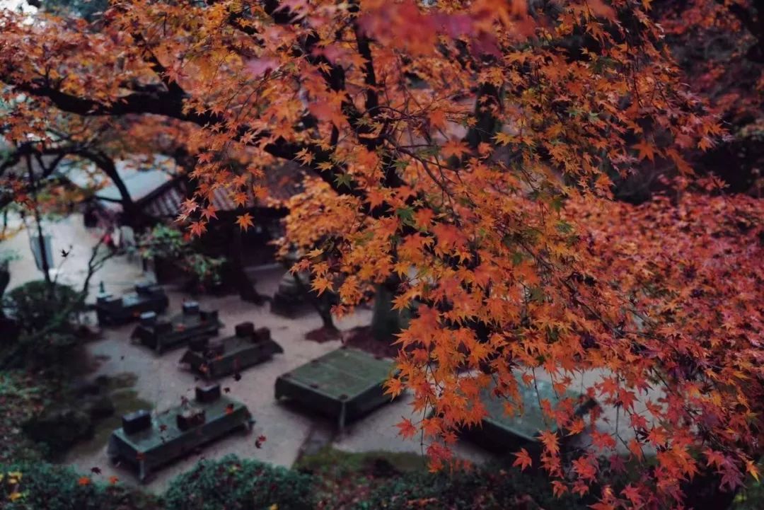 潜派旅行