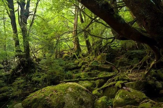 潜派旅行