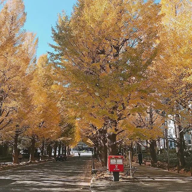 潜派旅行