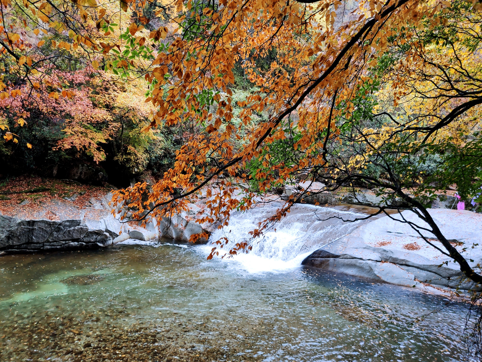 深秋成都自驾剑门关、昭化古城，光雾山四日游_游记