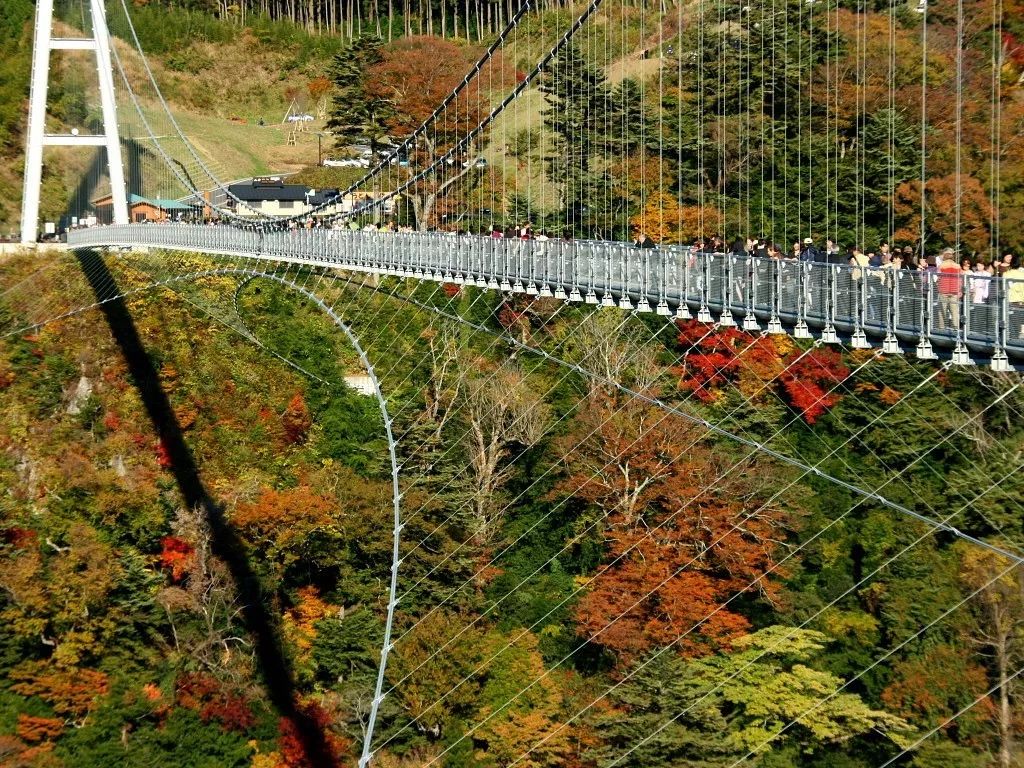 潜派旅行