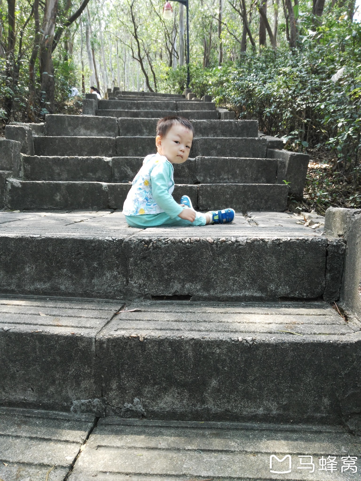 四年南山登临处，也无风雨也无晴_游记