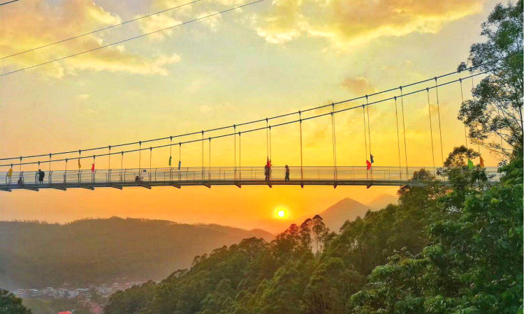 漳州长泰鼓鸣岩风景区门票(不止7d玻璃天桥/还有绿意花香潺潺流水)