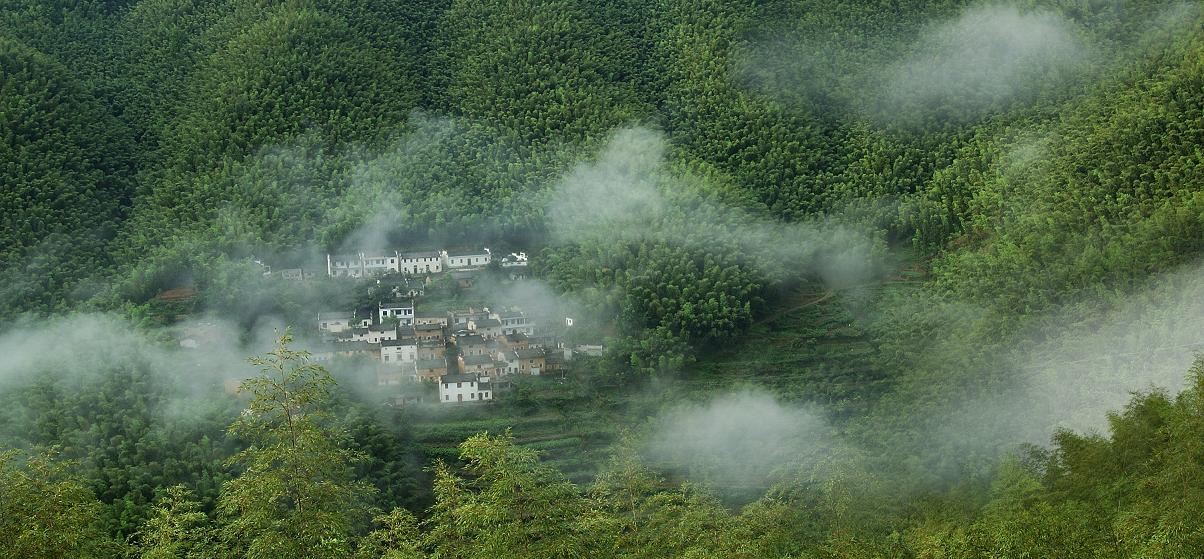 《卧虎藏龙》的朋友都知道其中一幕"竹林斗剑"的场景,这幕场景的取景