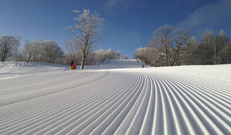 名古屋一日游 岐阜明宝滑雪场 土岐奥特莱斯(名古屋往返 大巴接送 可