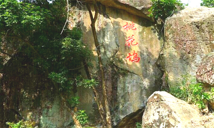 漳州长泰鼓鸣岩风景区门票(不止7d玻璃天桥/还有绿意花香潺潺流水)