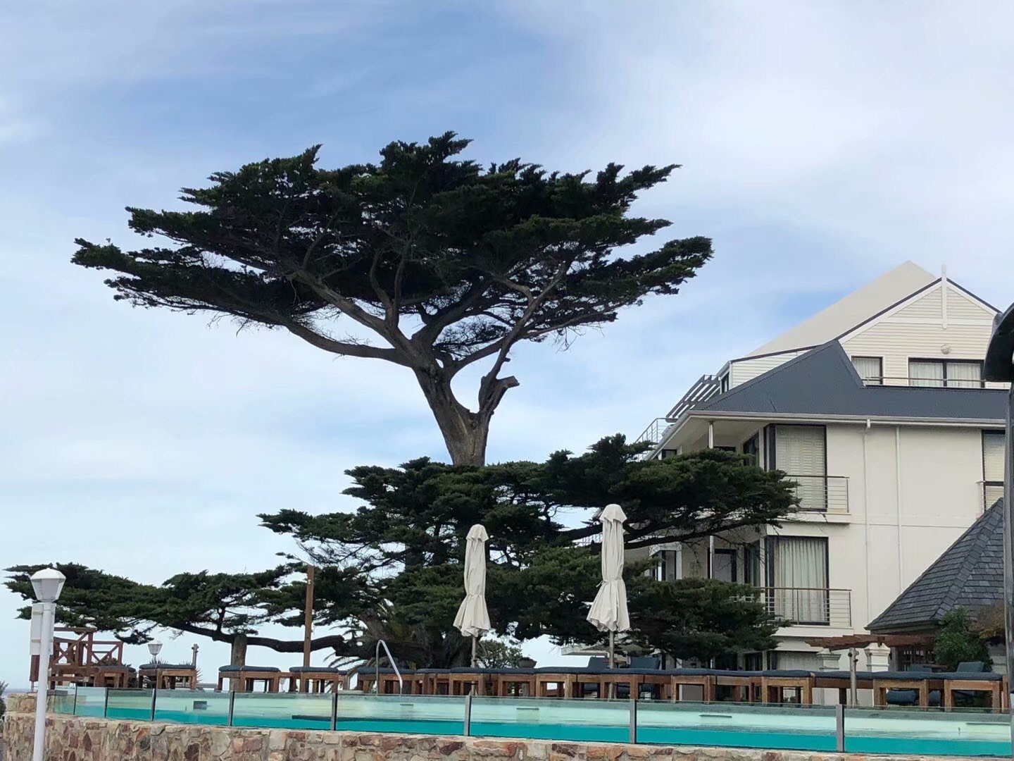 南非音乐之旅——赫曼努斯与植物园_游记