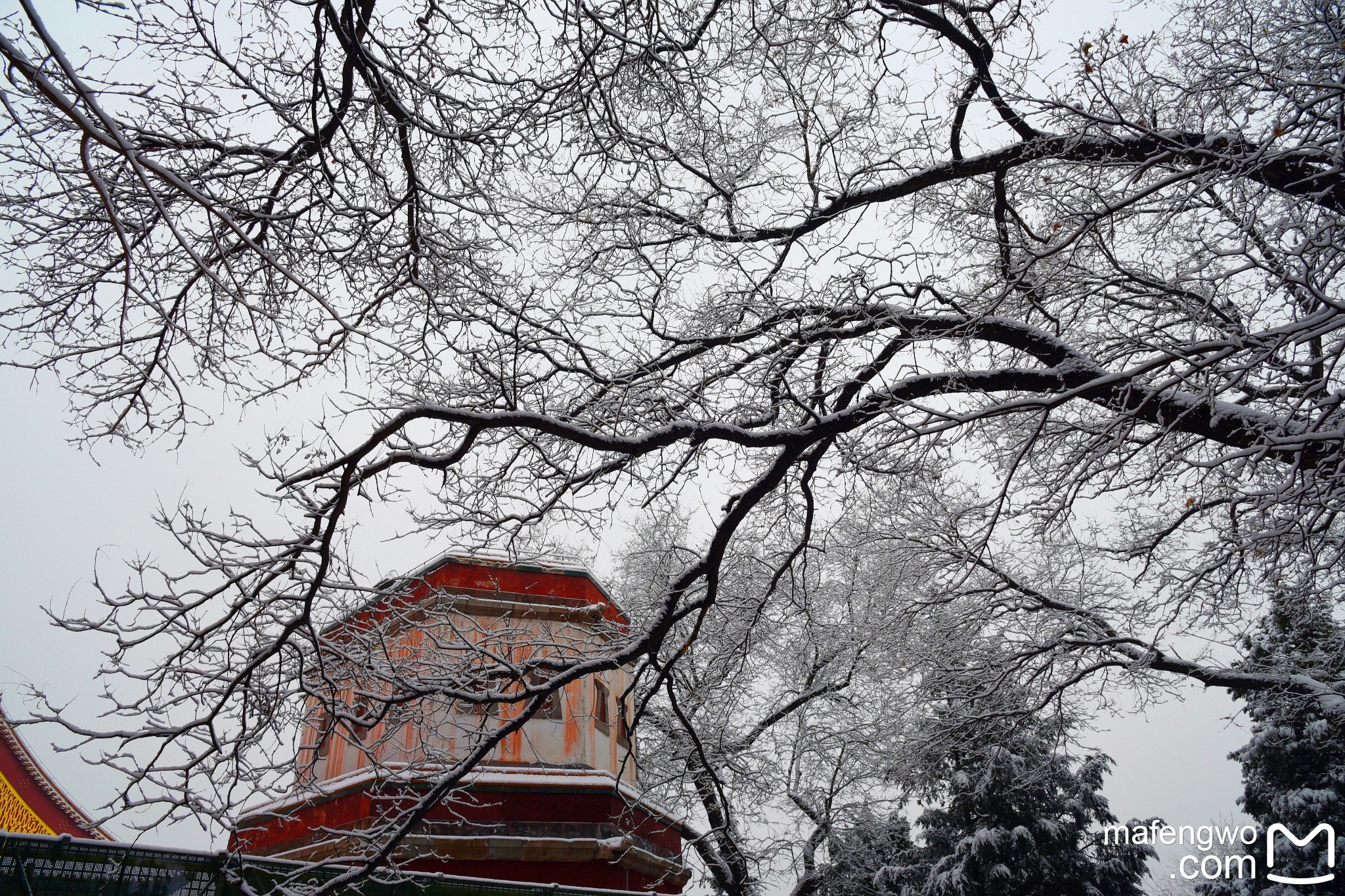 颐和园后山观雪