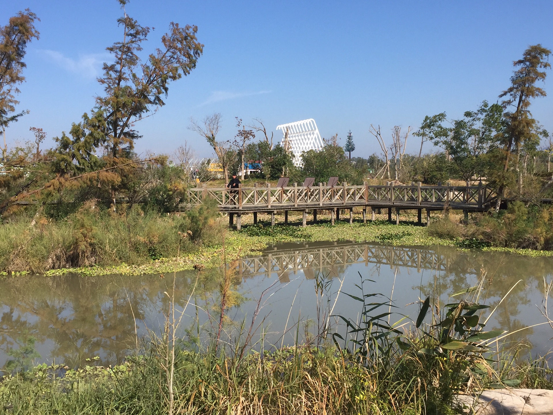 休闲1日游~玉环漩门湾湿地公园~济理寺~东沙渔村