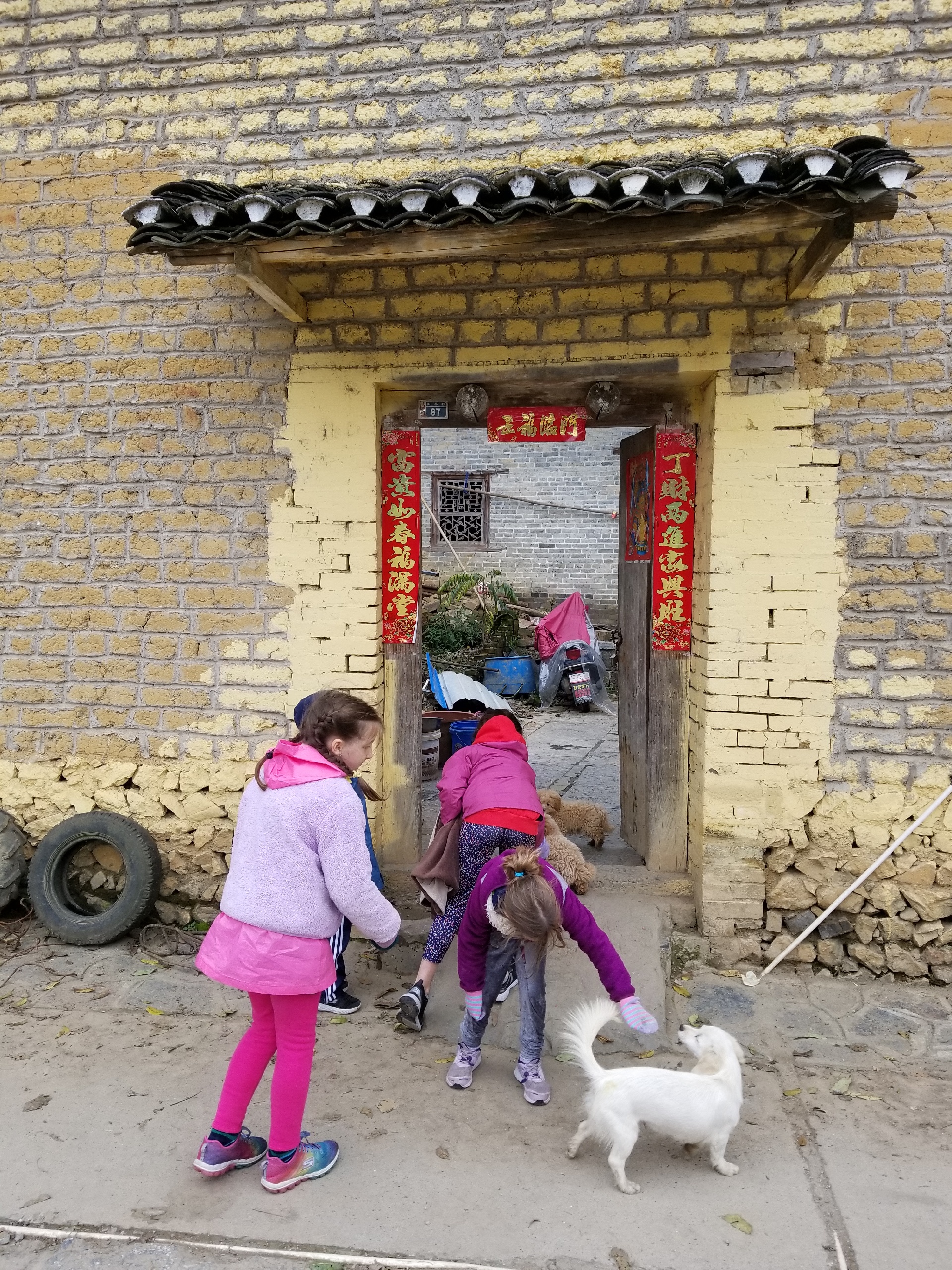 阳朔美食-稻香园农家饭