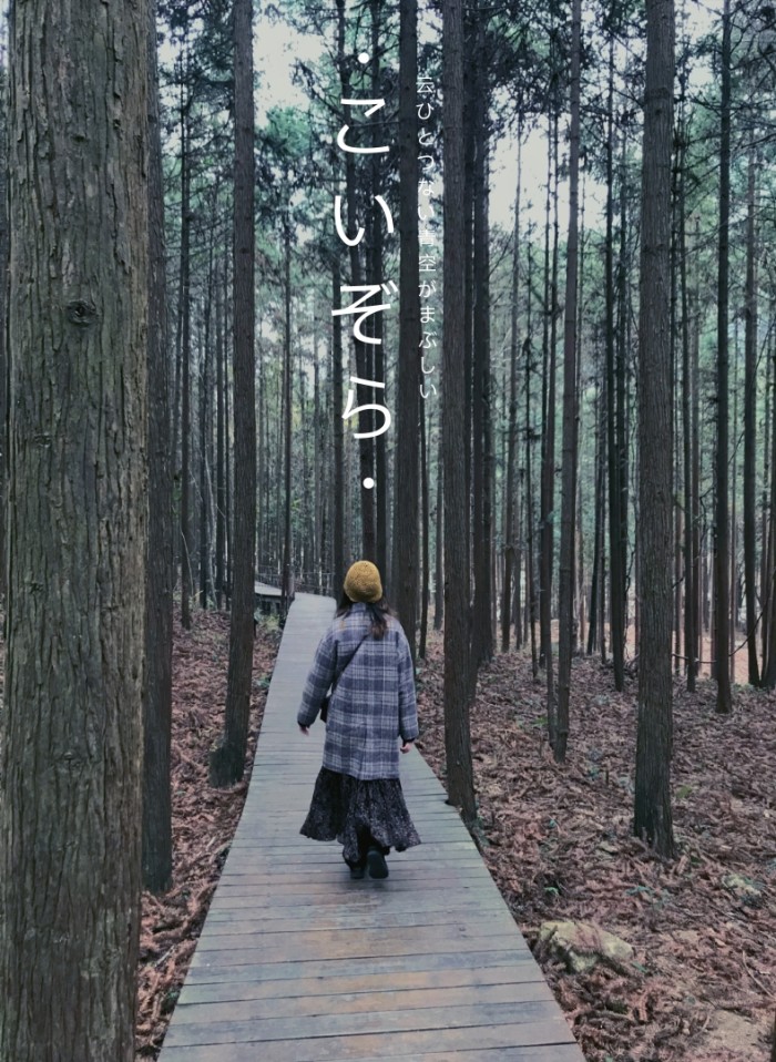 一月去贺州玩,天气冷不