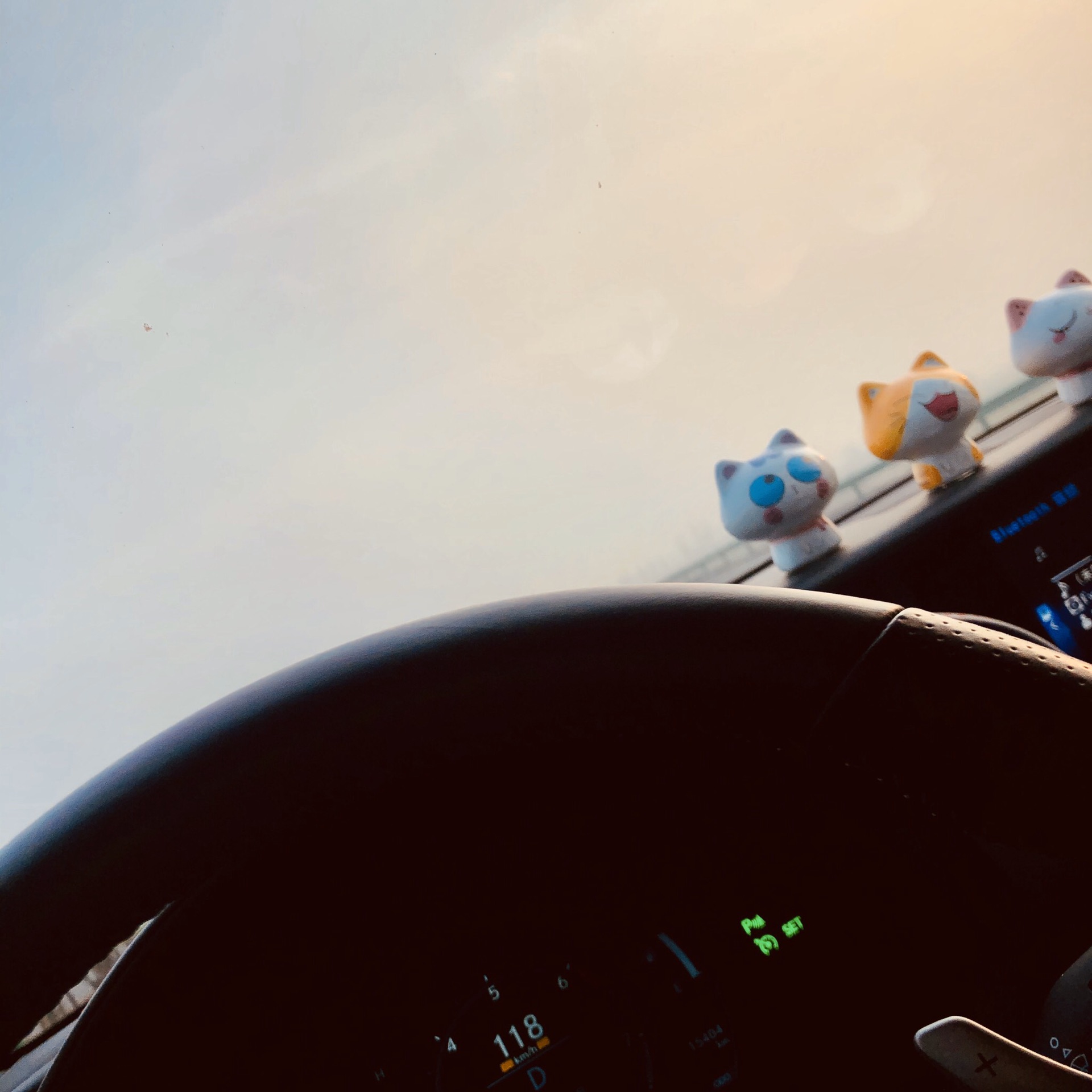 【济阳景点图片】泉城花海