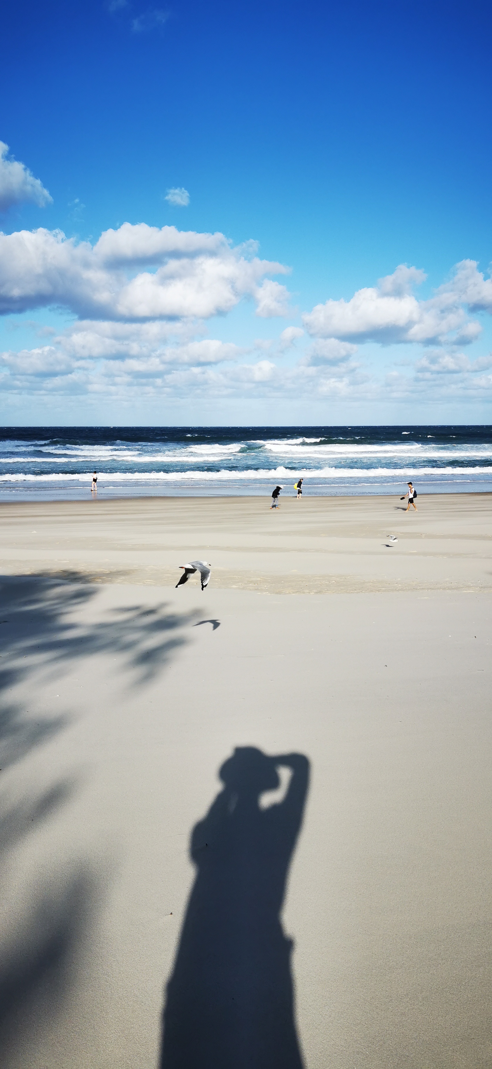 黄金海岸（澳大利亚）美食-hirewon