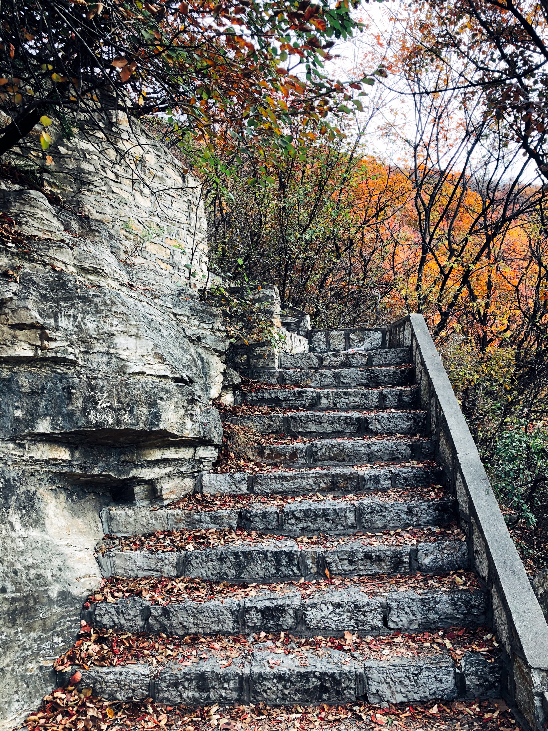 沂源历山公园攻略,历山公园门票_地址,历山公园游览