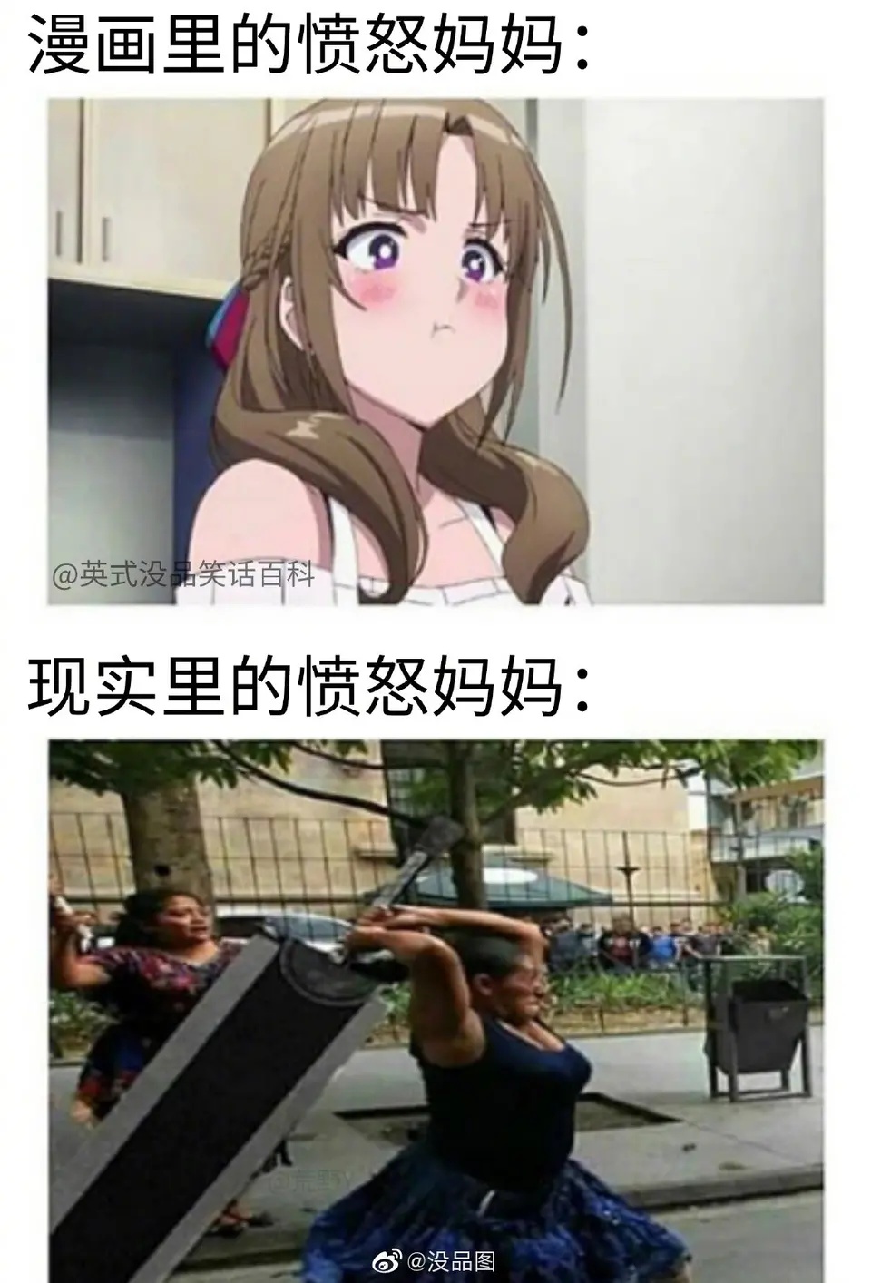 北京娱乐-同門搏击格斗馆