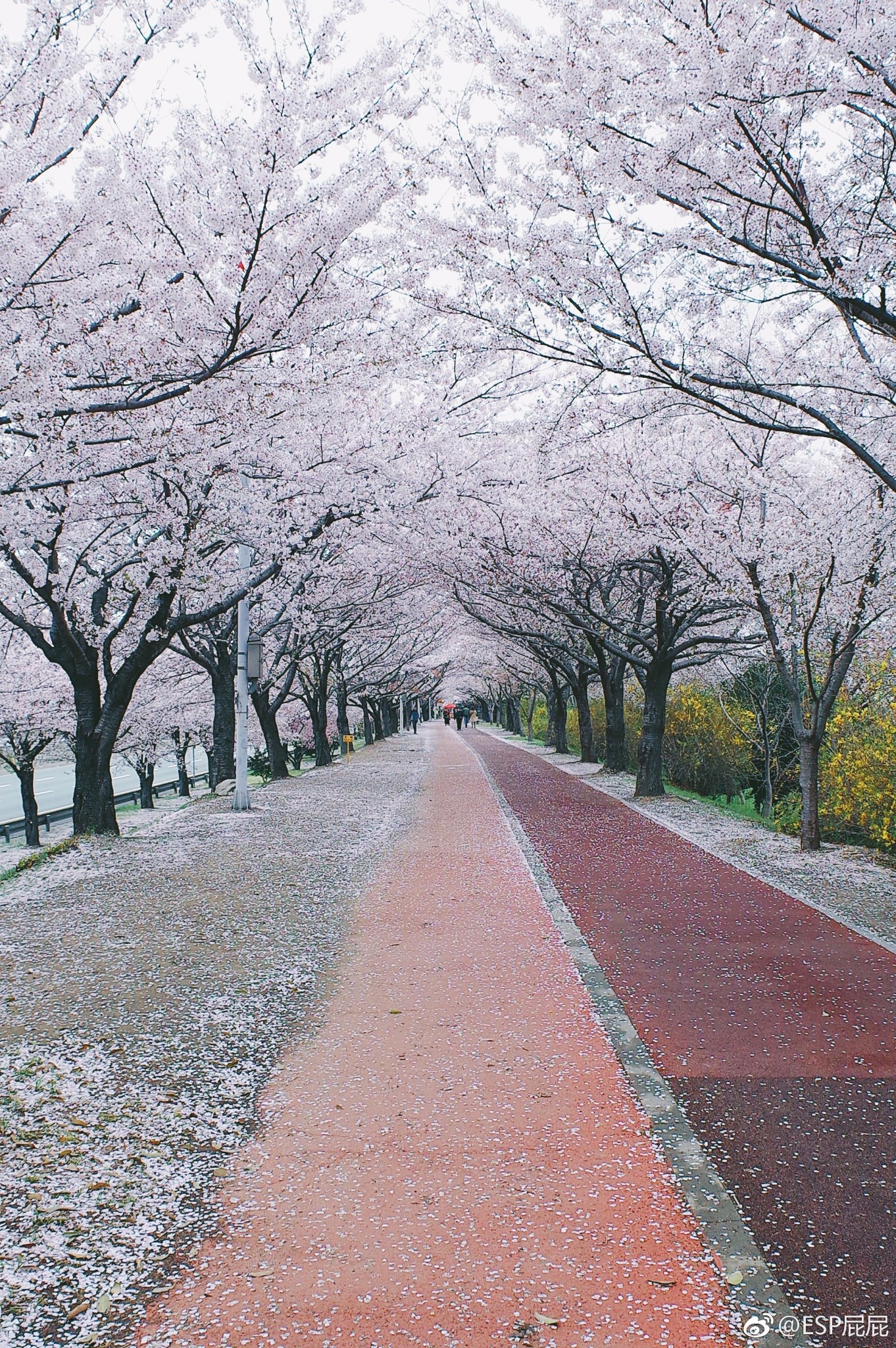 我的十年 韩国全境游记_游记