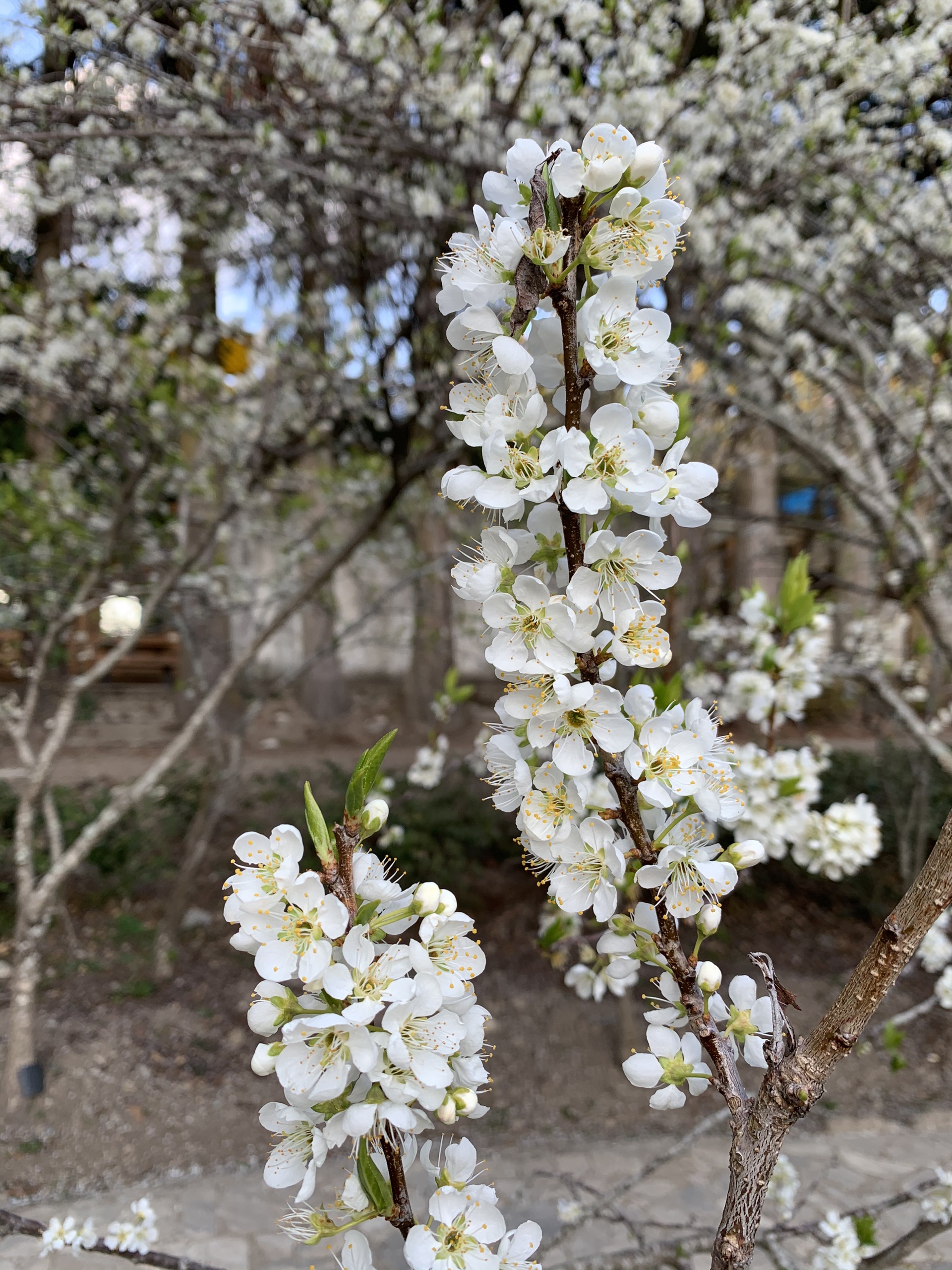 台中娱乐-大坑4号步道